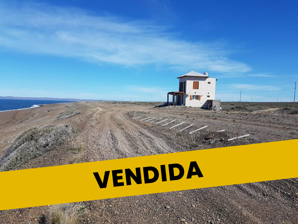 Mesa de trabajo 1 copia 7-100