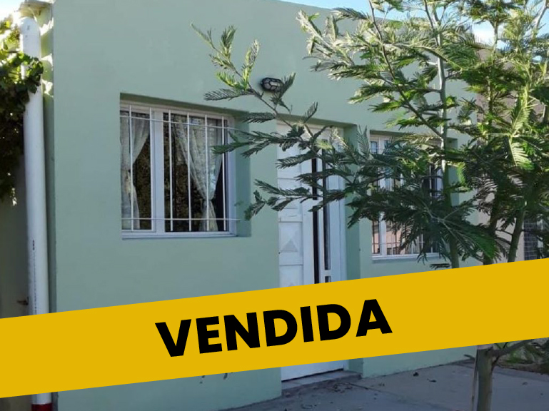 CLL – Propiedad Telsen – 280624 -100