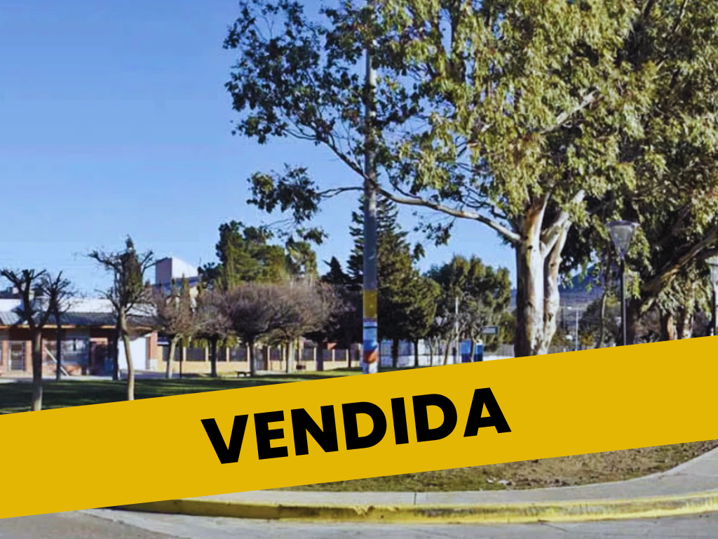 Diseño sin título (10)