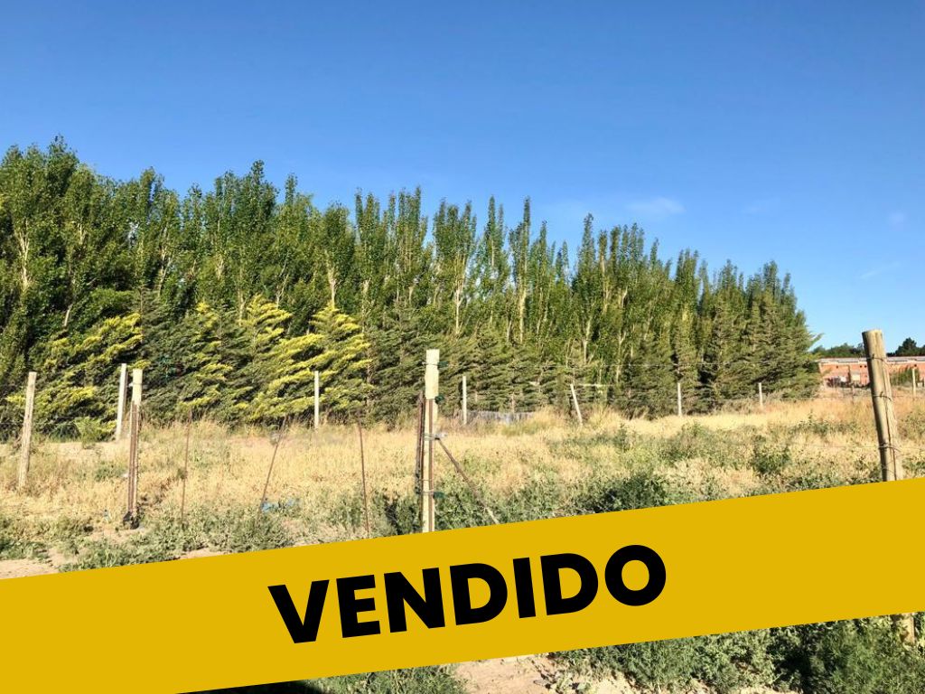 COL – PROPIEDADES (1)