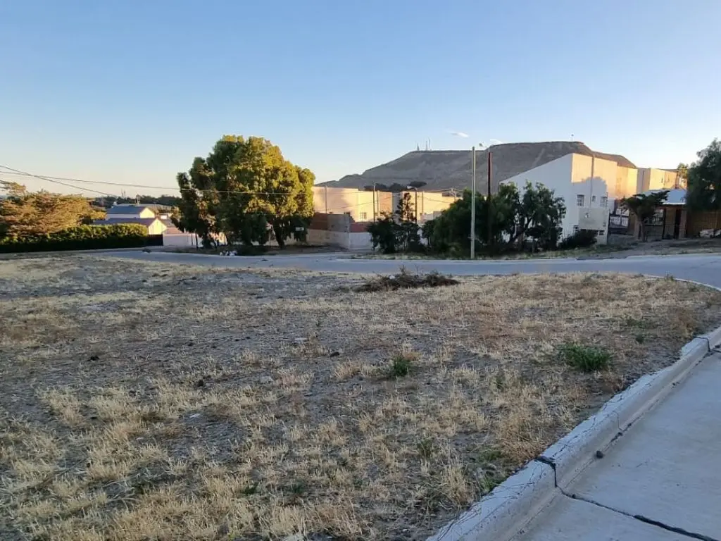 Untitled-design-1 (1)